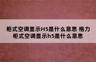 柜式空调显示H5是什么意思 格力柜式空调显示h5是什么意思